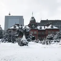 北海道庁旧本庁舎(赤レンガ庁舎)の写真・動画_image_299497