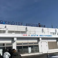 紋別空港（オホーツク紋別空港）の写真・動画_image_304628