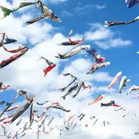 高槻市鯉のぼりフェスタの写真・動画_image_305055