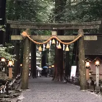 椿大神社の写真・動画_image_305920