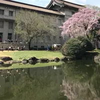 東京国立博物館の写真・動画_image_306750