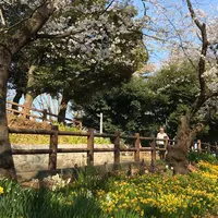 須和田公園の写真・動画_image_307064
