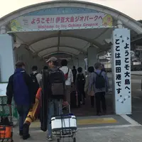 岡田港の写真・動画_image_308339