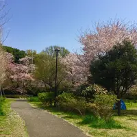 石神井公園の写真・動画_image_308564