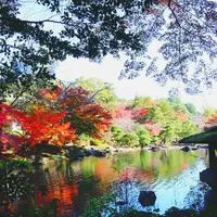 成田山公園の写真・動画_image_310283