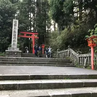 箱根神社の写真・動画_image_315839