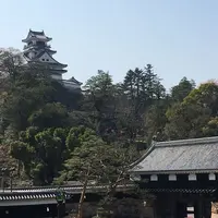 高知城の写真・動画_image_320635