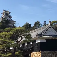 高知城の写真・動画_image_324268