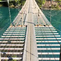 夢の吊橋の写真・動画_image_324638