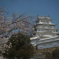 姫路城の写真・動画_image_325747