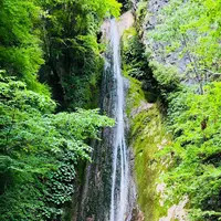 絹掛の滝の写真・動画_image_328839