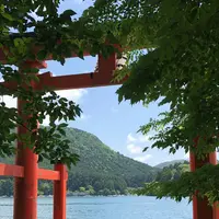 箱根神社 平和の鳥居の写真・動画_image_328899