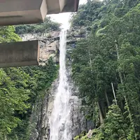 那智の滝の写真・動画_image_340322