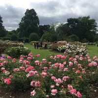 ロイヤル・ボタニック・ガーデンズ, キュー（Royal Botanic Gardens, Kew）の写真・動画_image_341018