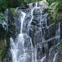 白糸の滝の写真・動画_image_341313