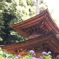 日龍峰寺（高沢観音）の写真・動画_image_342159