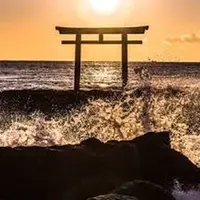 大洗磯前神社 神磯の鳥居の写真・動画_image_342451