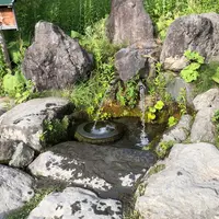 原始の泉の写真・動画_image_409350