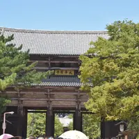東大寺の写真・動画_image_413861