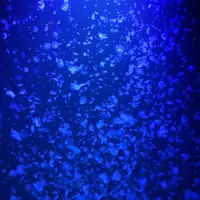 鶴岡市立加茂水族館（クラゲドリーム館）の写真・動画_image_414295