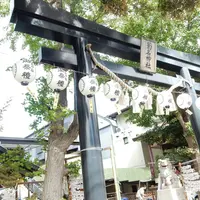 菊名神社の写真・動画_image_424297