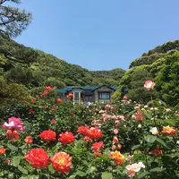鎌倉文学館の写真・動画_image_431378