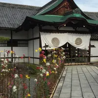 大覚寺の写真・動画_image_435591