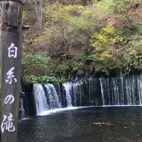 白糸の滝の写真・動画_image_448747