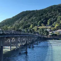 渡月橋の写真・動画_image_449479