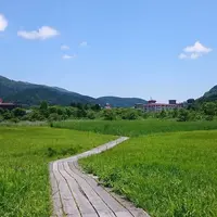 箱根湿生花園の写真・動画_image_450244