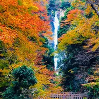 神庭の滝の写真・動画_image_460484