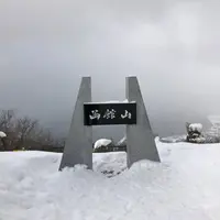 函館山の写真・動画_image_489225