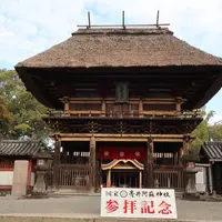 青井阿蘇神社の写真・動画_image_491797