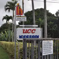 UCC Hawaiiの写真・動画_image_493715