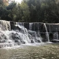 黒滝の写真・動画_image_501673