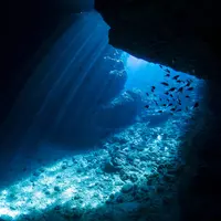 青の洞窟の写真・動画_image_521920