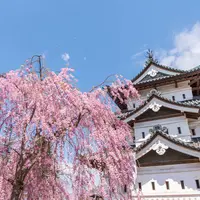 弘前城の写真・動画_image_522640