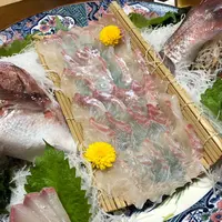 活魚料理 じんぎすかんの写真・動画_image_540775
