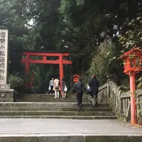 箱根神社の写真・動画_image_542022