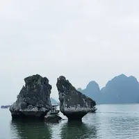 ハロン湾の写真・動画_image_544156