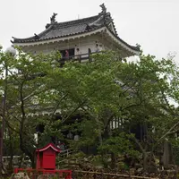 浜松城の写真・動画_image_561441