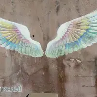 パームビーチ 天使の羽の写真・動画_image_568352