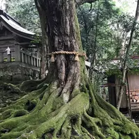赤猪岩神社の写真・動画_image_570586