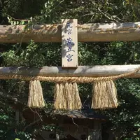 荒立神社の写真・動画_image_570670