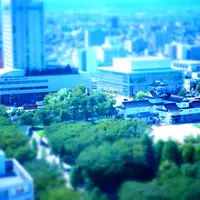 富山市役所展望塔の写真・動画_image_574711