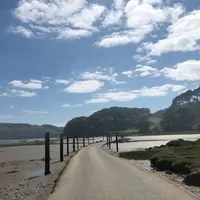 Tidal Rdの写真・動画_image_605006