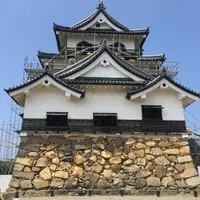 彦根城の写真・動画_image_631965