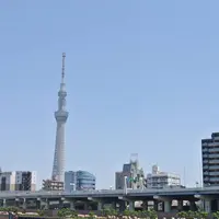 東京スカイツリーの写真・動画_image_636371