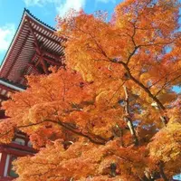 成田山新勝寺の写真・動画_image_636436