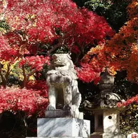 香取神宮の写真・動画_image_636498